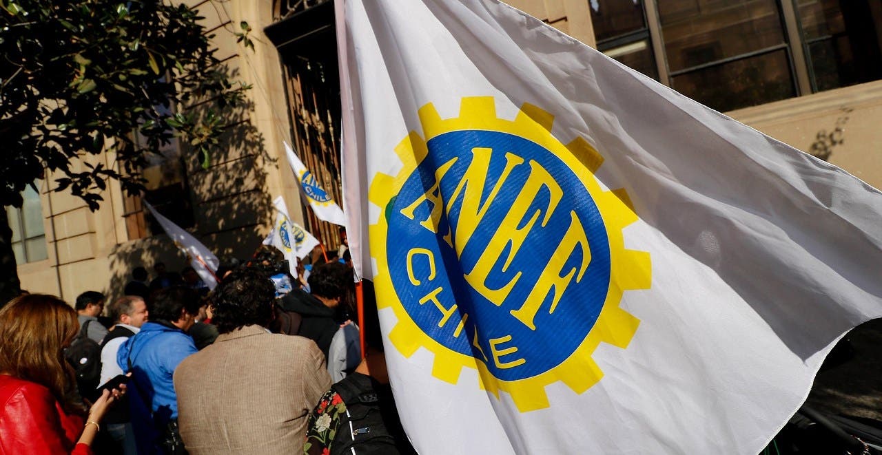 Bandera de la ANEF siendo ondeada con un grupo de personas